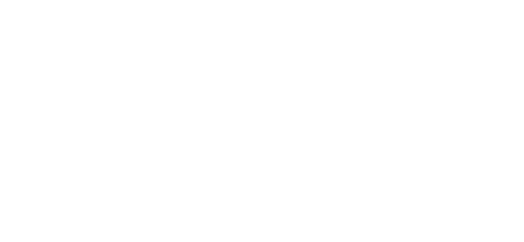 human simulation